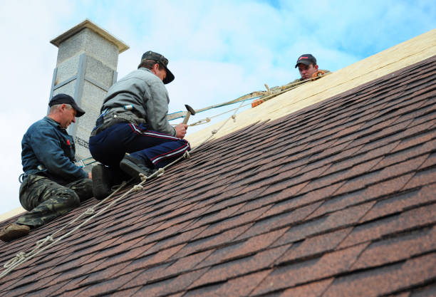 Best Storm Damage Roof Repair  in Mansfield, MO